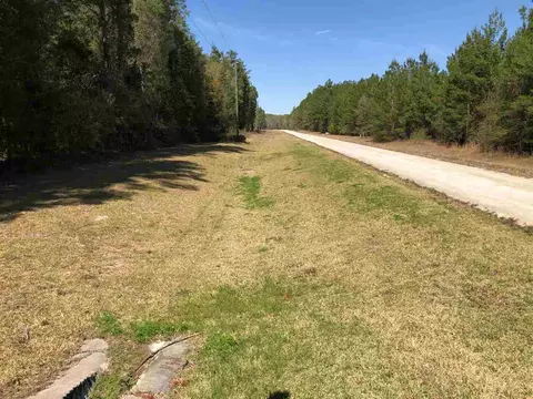234 SE Black Hawk Dr, Madison, FL 32340 photo 20