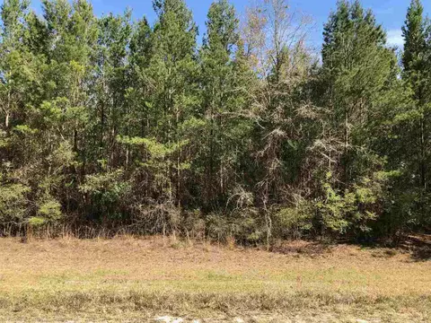 234 SE Black Hawk Dr, Madison, FL 32340 photo 22