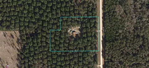 234 SE Black Hawk Dr, Madison, FL 32340 photo 26