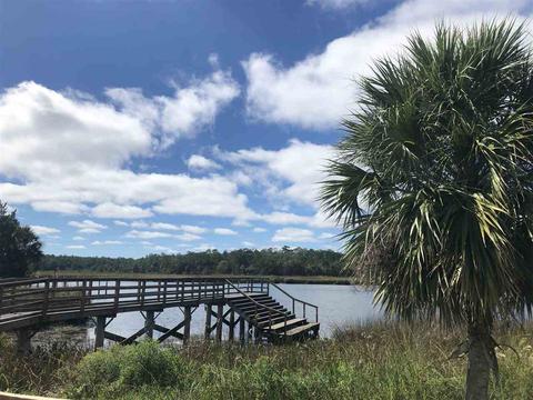 224 Fire Escape Rd, Saint Marks, FL 32355 photo 7