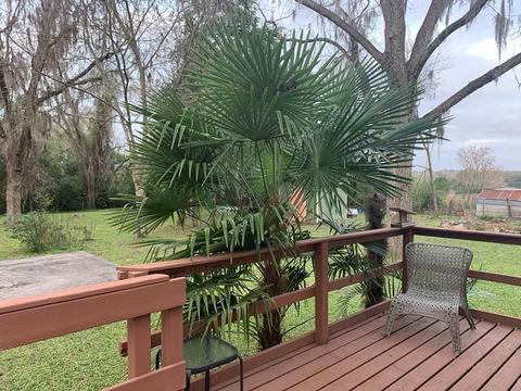 347 NE Ridge Loop, Madison, FL 32340 photo 6