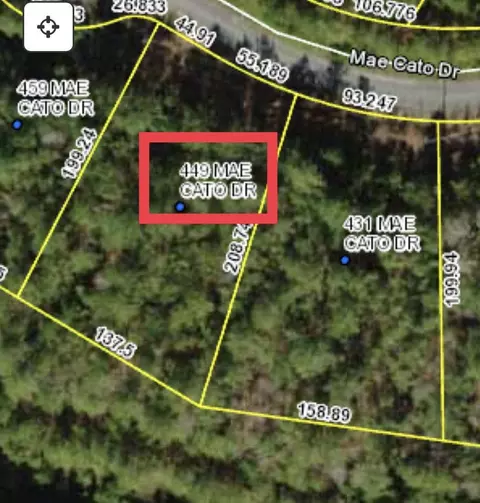 449 Mae Cato Dr, Midway, FL 32343 photo 1