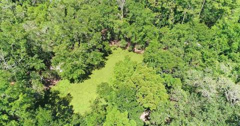 1460 E Green St, Perry, FL 32347 photo 2