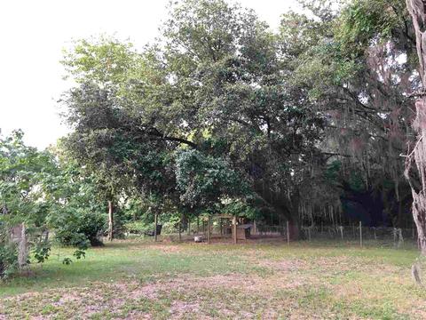 413 NE Ridge Loop, Madison, FL 32340 photo 16
