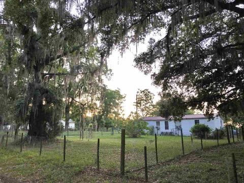 413 NE Ridge Loop, Madison, FL 32340 photo 23