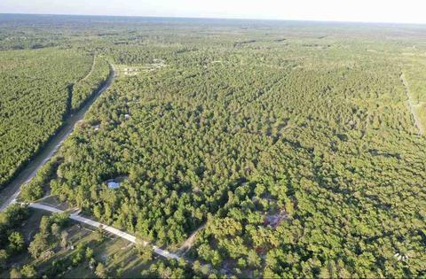 13020 Stricklands Bridge Rd, Perry, FL 32348 photo 15