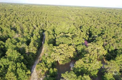 13020 Stricklands Bridge Rd, Perry, FL 32348 photo 12