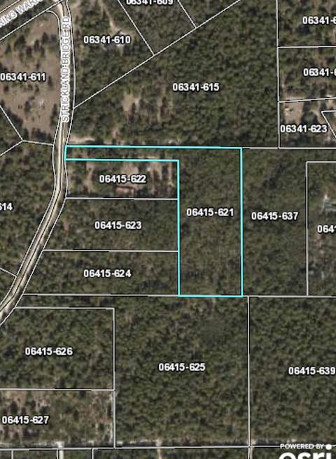 13020 Stricklands Bridge Rd, Perry, FL 32348 photo 5