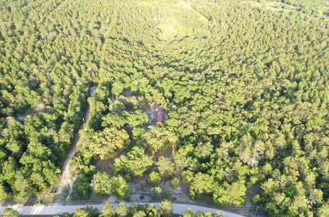 13020 Stricklands Bridge Rd, Perry, FL 32348 photo 1