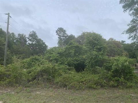 13020 Stricklands Bridge Rd, Perry, FL 32348 photo 3