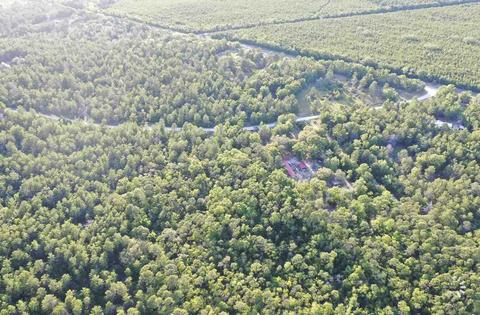 13020 Stricklands Bridge Rd, Perry, FL 32348 photo 8