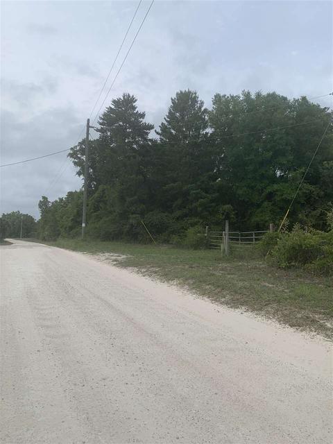 13020 Stricklands Bridge Rd, Perry, FL 32348 photo 2