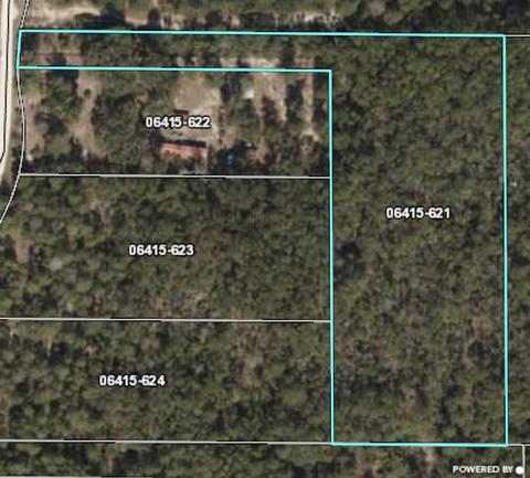 13020 Stricklands Bridge Rd, Perry, FL 32348 photo 6