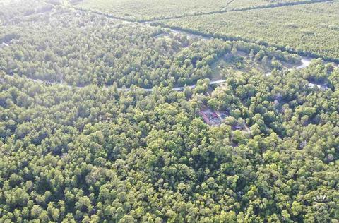 13020 Stricklands Bridge Rd, Perry, FL 32348 photo 10