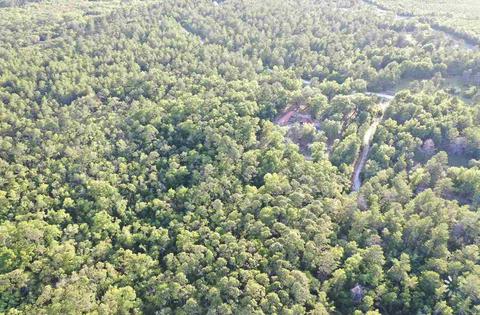13020 Stricklands Bridge Rd, Perry, FL 32348 photo 11