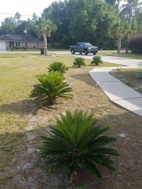 605 Judson Dr, Perry, FL 32347 photo 5