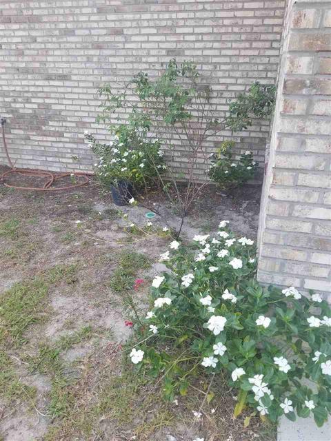 605 Judson Dr, Perry, FL 32347 photo 3