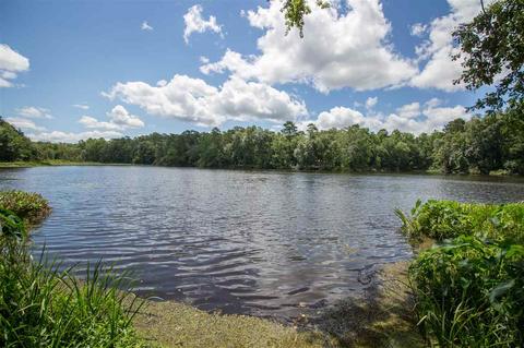 280 Rozena Loop, Havana, FL 32333 photo 2