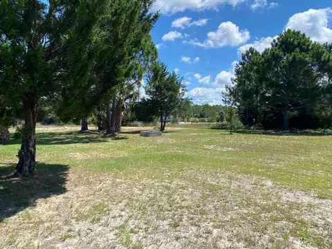 21031 Osprey Cir, Perry, FL 32348 photo 21