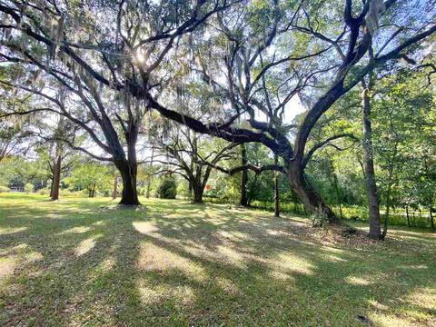 2998 Foley Cut Off Rd, Perry, FL 32348 photo 7