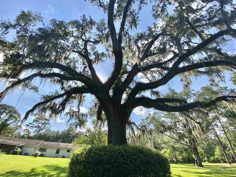 2998 Foley Cut Off Rd, Perry, FL 32348 photo 5