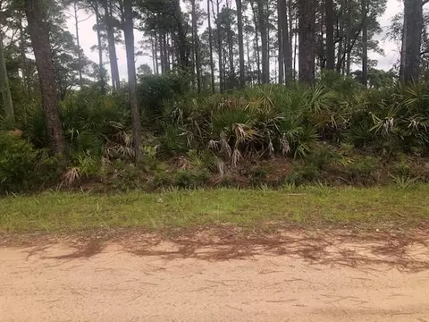 79 Lakeview Dr, Bald Point, FL 32346 photo 6