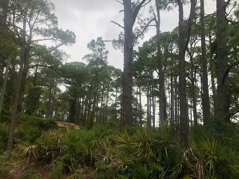 79 Lakeview Dr, Bald Point, FL 32346 photo 10