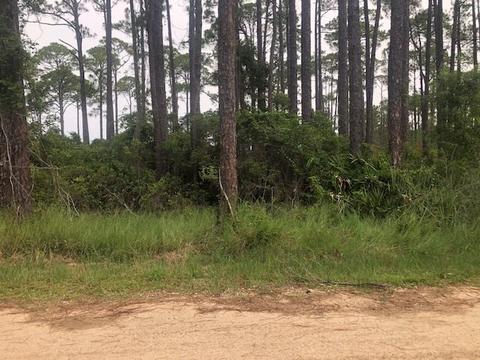 95 Lakeview Dr, Bald Point, FL 32346 photo 1