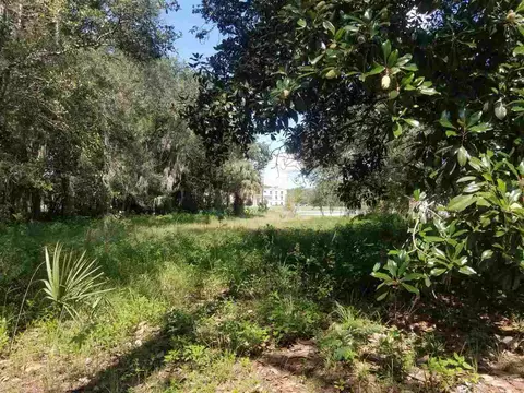 113 Lewis Dr, Perry, FL 32348 photo 33