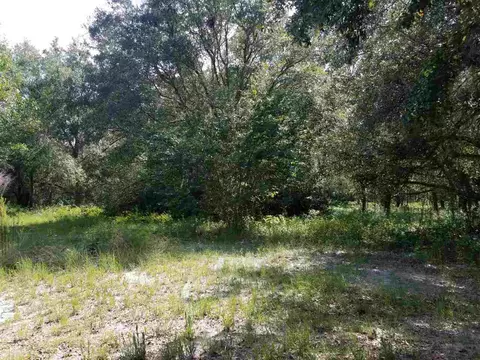 113 Lewis Dr, Perry, FL 32348 photo 34
