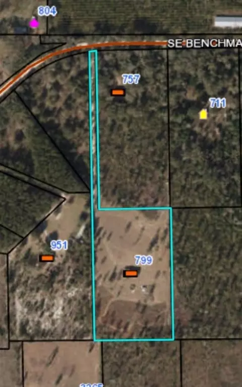 799 SE Benchmark Dr, Lee, FL 32059 photo 32