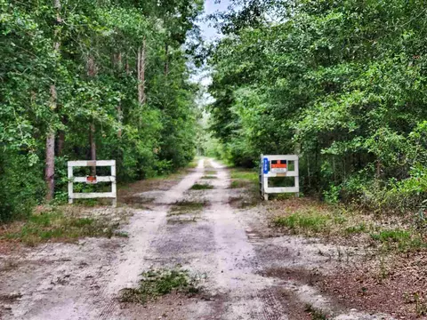 799 SE Benchmark Dr, Lee, FL 32059 photo 5