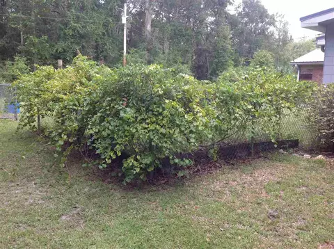 5105 Roping Ln, Perry, FL 32347 photo 29