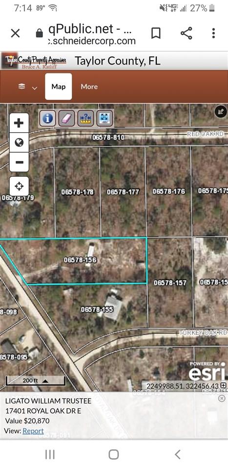 17401 E Royal Oak, Perry, FL 32348 photo 1