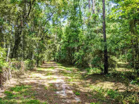 287 Nash Rd, Lamont, FL 32336 photo 11