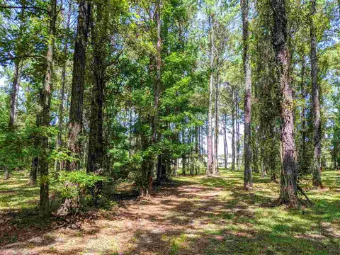 287 Nash Rd, Lamont, FL 32336 photo 13