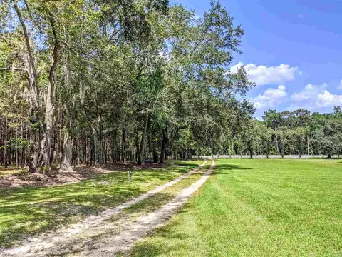 287 Nash Rd, Lamont, FL 32336 photo 16