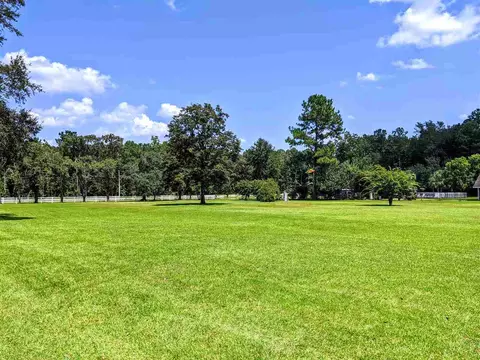 287 Nash Rd, Lamont, FL 32336 photo 17