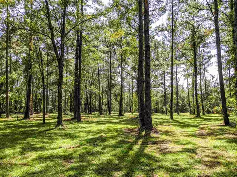 287 Nash Rd, Lamont, FL 32336 photo 15