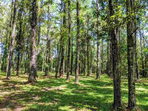 287 Nash Rd, Lamont, FL 32336 photo 12