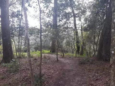 200 NE Willow Bend Ter, Lee, FL 32059 photo 20