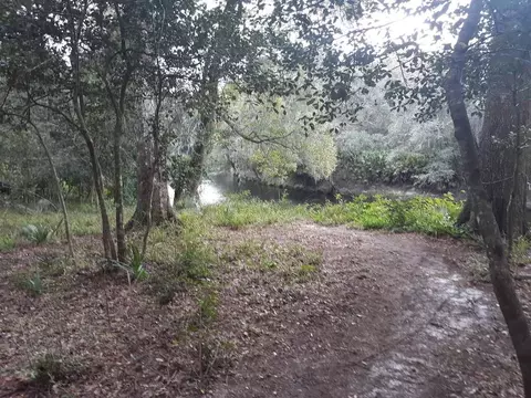 200 NE Willow Bend Ter, Lee, FL 32059 photo 21