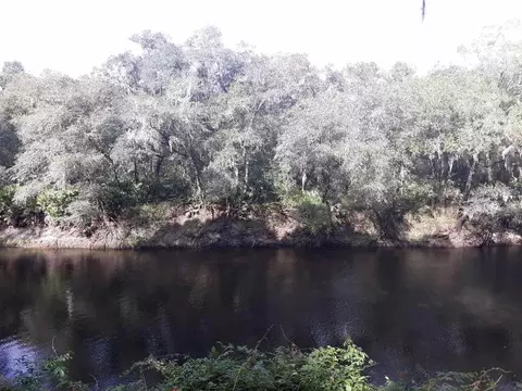 200 NE Willow Bend Ter, Lee, FL 32059 photo 3