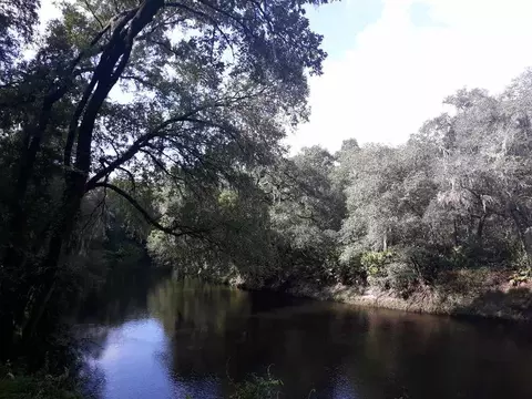 200 NE Willow Bend Ter, Lee, FL 32059 photo 2