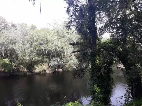 200 NE Willow Bend Ter, Lee, FL 32059 photo 4