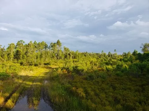 3392 SW Bee Tree Rd, Madison, FL 32340 photo 8