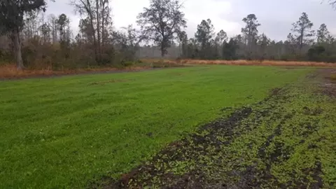 3392 SW Bee Tree Rd, Madison, FL 32340 photo 1