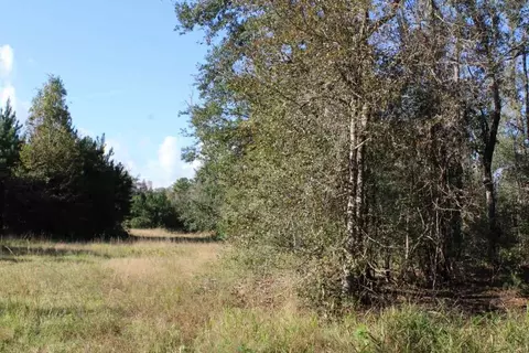 3392 SW Bee Tree Rd, Madison, FL 32340 photo 11