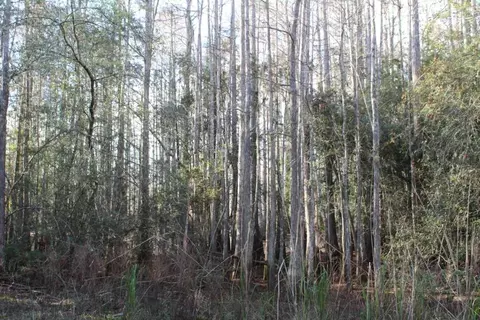 3392 SW Bee Tree Rd, Madison, FL 32340 photo 20