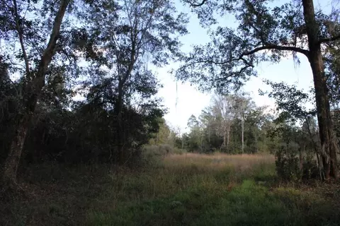 3392 SW Bee Tree Rd, Madison, FL 32340 photo 16